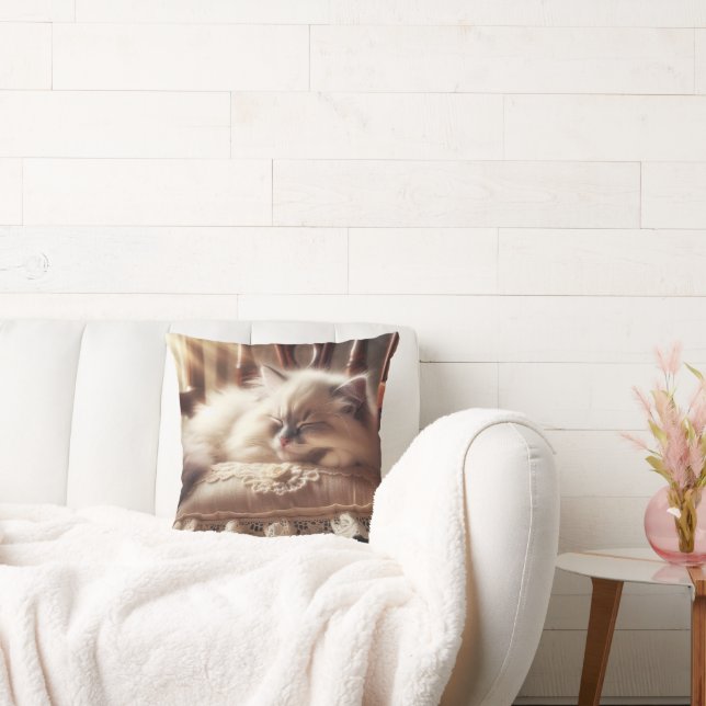 Ragdoll Kitten Dormir sur un Coussin (Canapé)