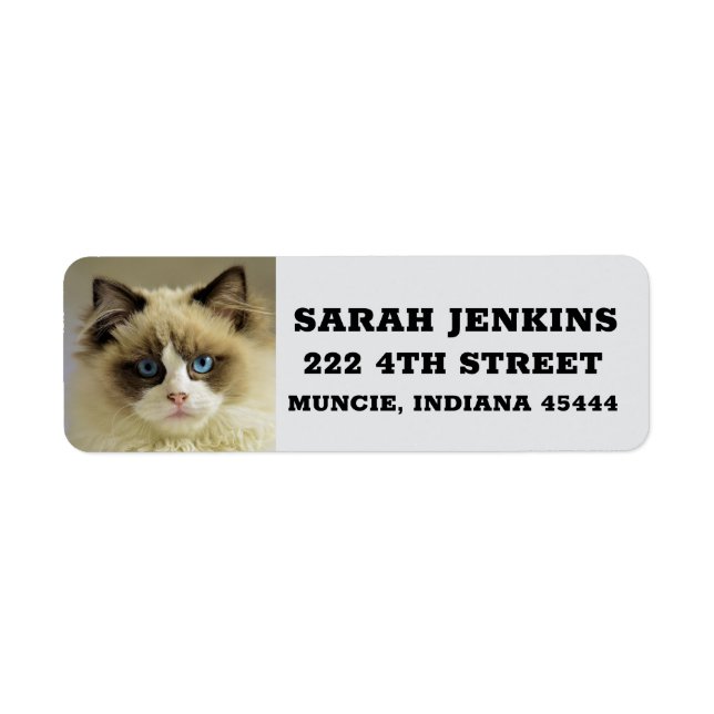 RAGDOLL PERSIAN CAT Big Return Adresse Étiquettes (Devant)