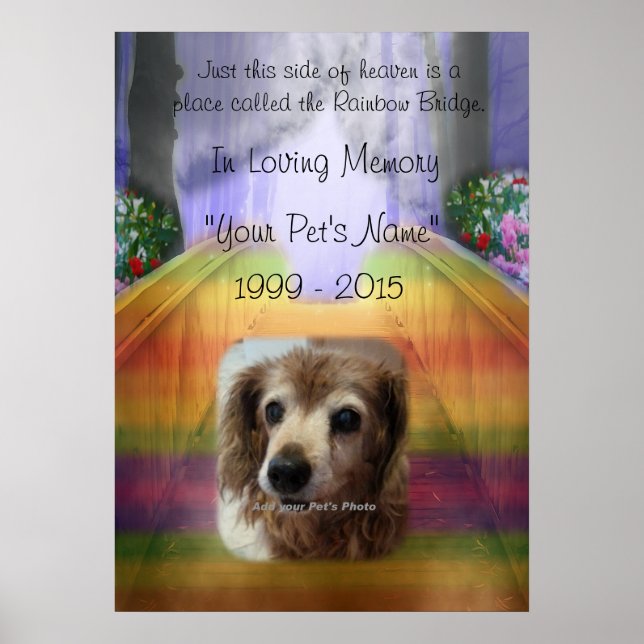 Rainbow Bridge Pet Memorial - En mémoire Poster (Devant)