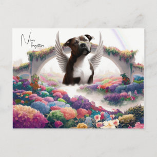 Rainbow Bridge Sympathy Keepsaké carte postale Art