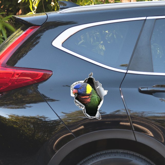 Rainbow Lorikeet Bird Decal– Exotic Parrot Sticker (Coté voiture)