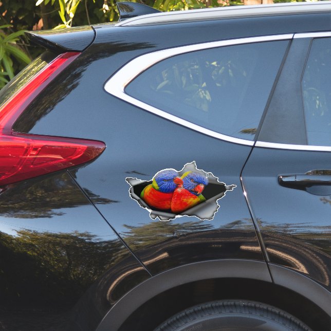 Rainbow Lorikeet Parrot Sticker – Vibrant Bird  (Coté voiture)