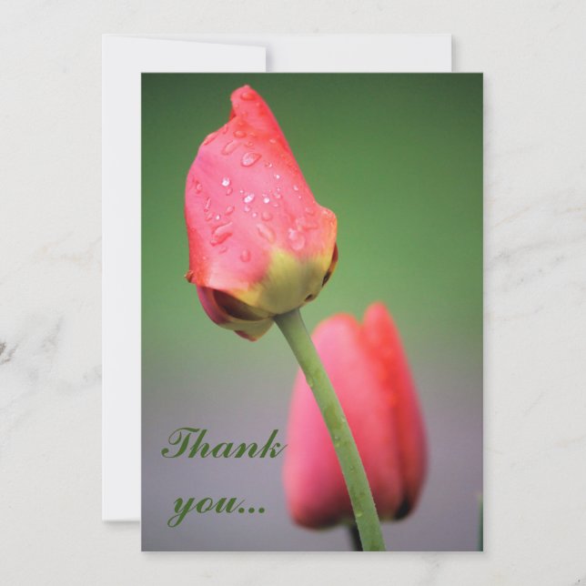 Raindrops Pink Tulips Merci cartes (Devant)