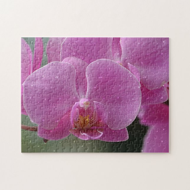 Raindrops Sur Le Puzzle Orchidée (Horizontal)