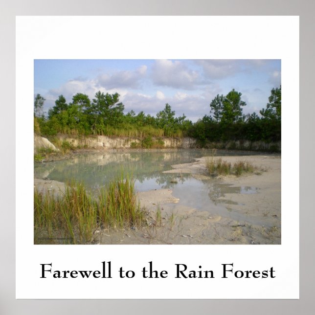 Rainforest Conservation  poster (Devant)