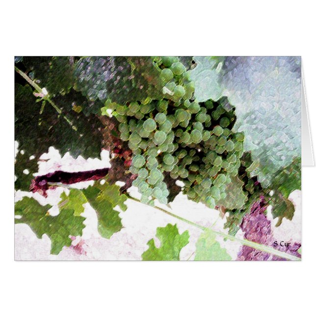 Raisins Artistiques, S Cyr (Devant horizontal)