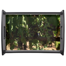 Raisins sur le plateau de portion de vigne