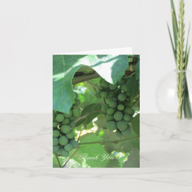 Raisins sur les vignes Merci (Devant)
