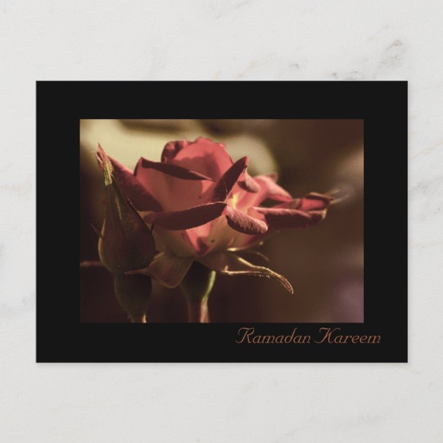 Ramadan Kareem - carte postale rose rouge (Devant)