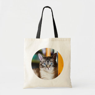 Rami complètement de sac fourre-tout à chat