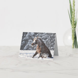 Randonnée à cheval Brown en Carte de vacances neig