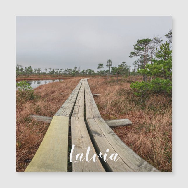 Randonnée de piste dans l'aimant de marais (Devant)