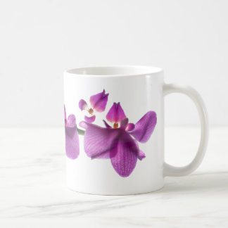 Rangée d'orchidée sur le blanc tasse blanche