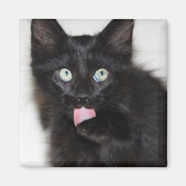 Ranger Kitten Cleaning Paw Magnet (Devant)