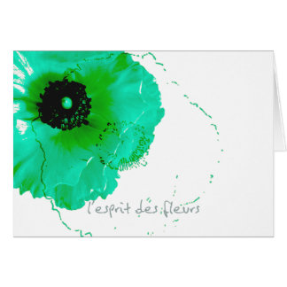 ranunculus turquoise et blanc