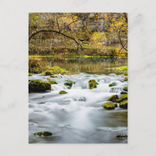 Rapides d'Alley Springs Carte Postale