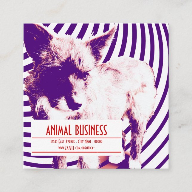 rappel de rendez-vous pour animal de compagnie car (Devant)