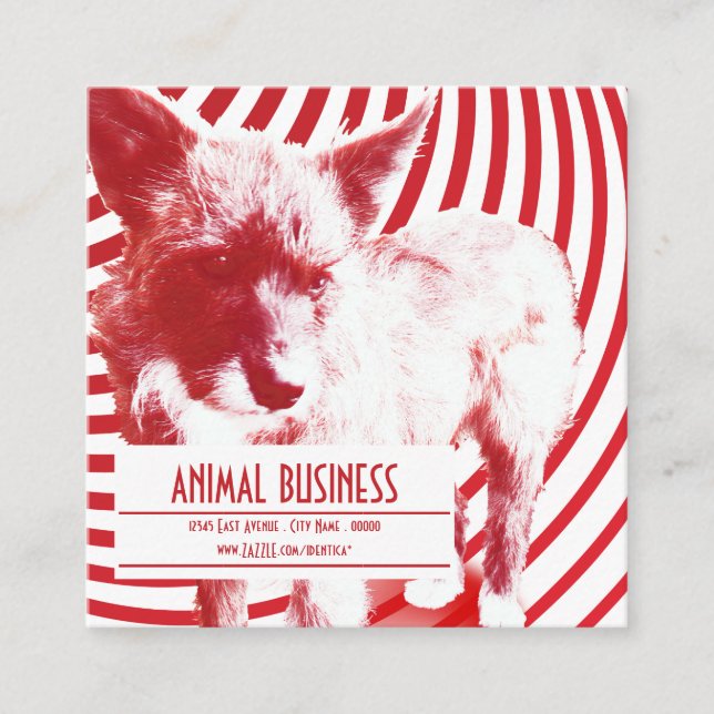 rappel de rendez-vous pour un animal de compagnie  (Devant)