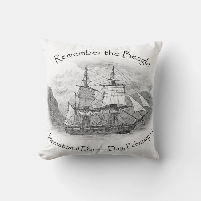 Rappelez-vous le coussin de carré de beagle (Recto)