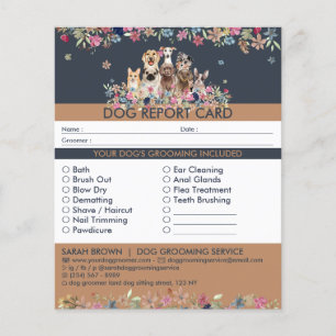 Rapport d'embarquement des chiens de marine assis