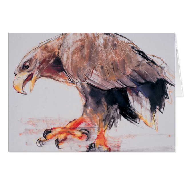 Raptor 2001 (Devant horizontal)