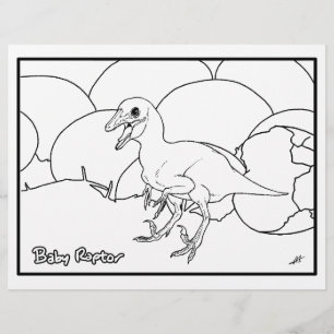Raptor Bébé - Coloriage Page.