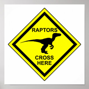 Raptors - affiche