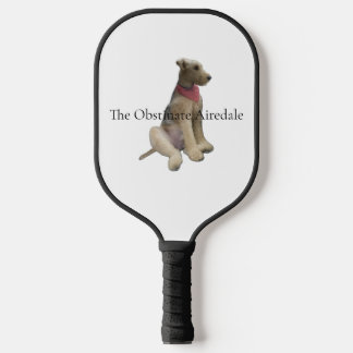 Raquette de Pickleball