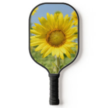 Raquette de pickleball