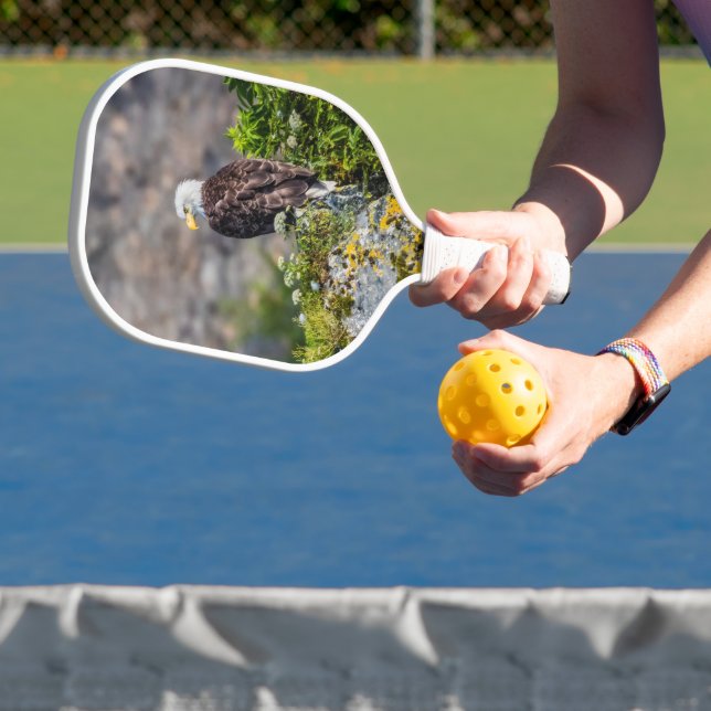 Raquette De Pickleball Aigle bald assis sur le rocher (Insitu)