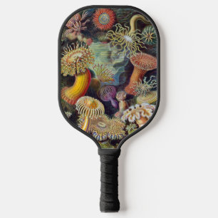 Raquette De Pickleball Anémones sous-marines vintages par Ernst Haeckel