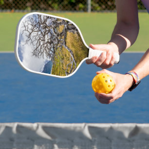Raquette De Pickleball Arbre brûlé, Torres del Paine, Chili