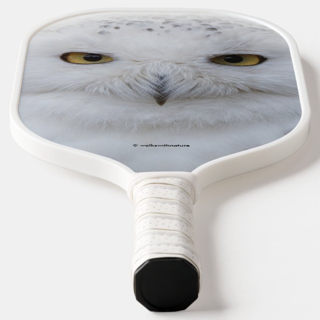 Raquette De Pickleball Belle, Dreamy et Serene Snowy Owl (Poser)