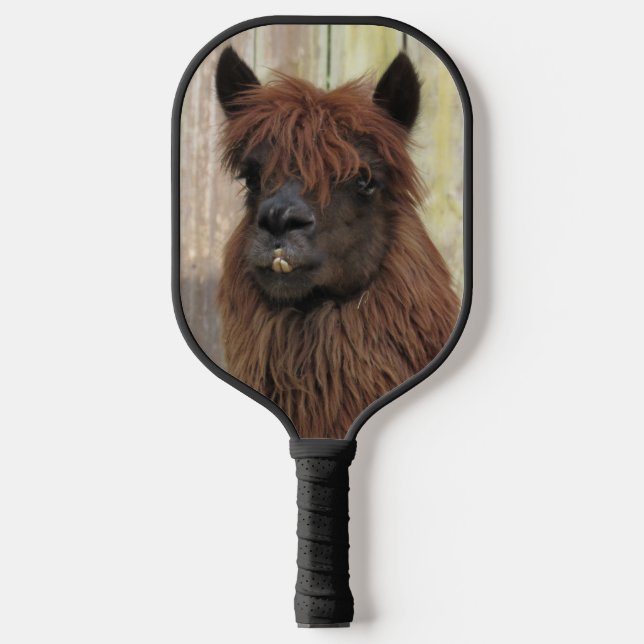 Raquette De Pickleball Belle pédale Alpaca Pickleball (Recto)