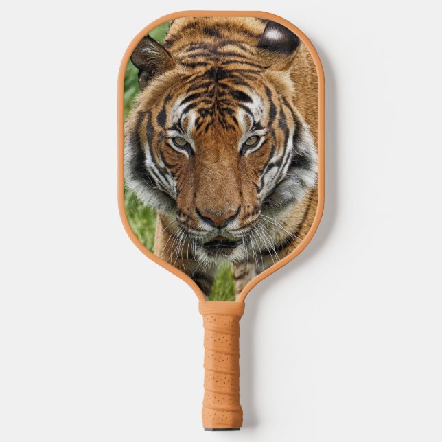 RAQUETTE DE PICKLEBALL BENGAL TIGER PICKLEBALL PADDLE (Recto)