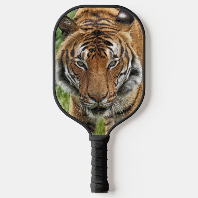 RAQUETTE DE PICKLEBALL BENGAL TIGER PICKLEBALL PADDLE (Recto)
