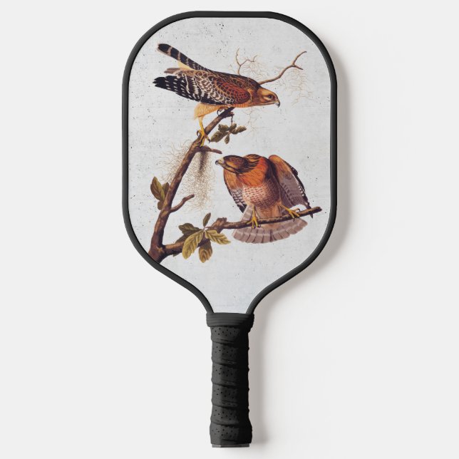Raquette De Pickleball Buse à épaulettes roux Audubon Oiseau de proie (Recto)