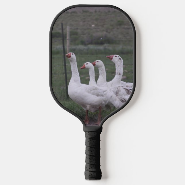 Raquette De Pickleball Canard (Recto)