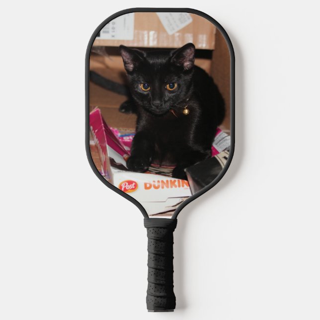Raquette De Pickleball Cat (Recto)