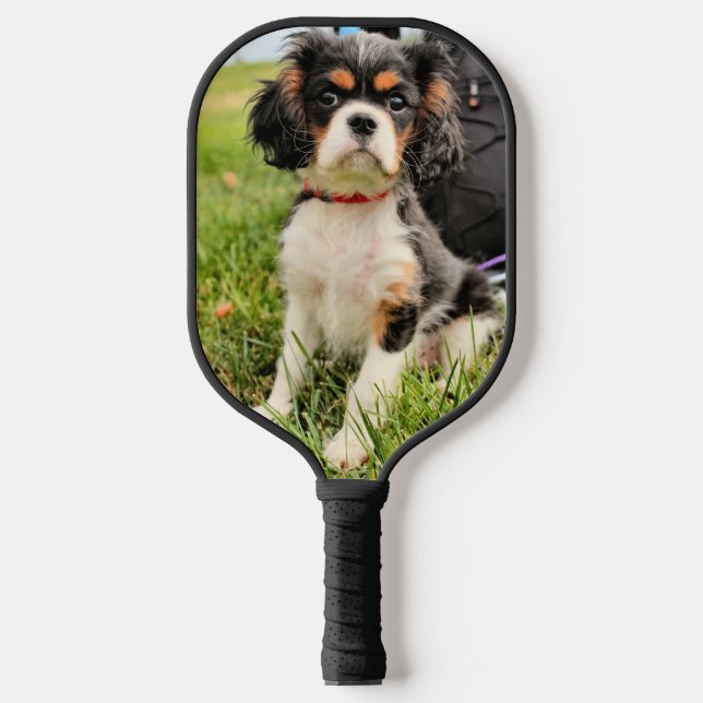 Raquette De Pickleball Cavalier King Charles (Recto)