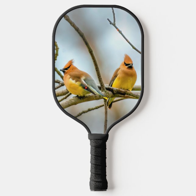 Raquette De Pickleball Cèdre - Photographie originale (Recto)
