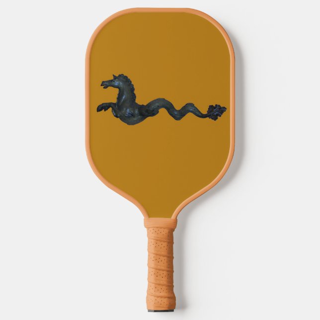 Raquette De Pickleball Cheval de verre Pickleball Paddle (Recto)