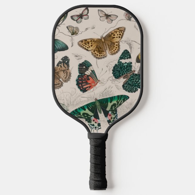 Raquette De Pickleball collection papillon aquarelle antique art beurre (Recto)