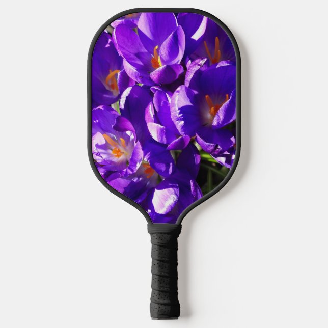 RAQUETTE DE PICKLEBALL CROCUS DE PRINTEMPS (Recto)