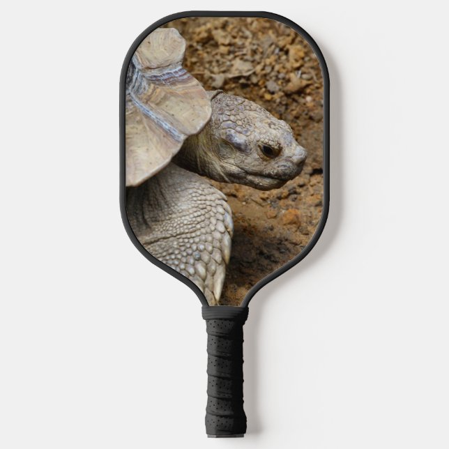 Raquette De Pickleball Deux tortues (Recto)