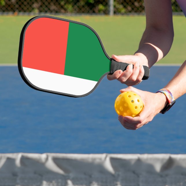 Raquette De Pickleball Drapeau de Madagascar (Insitu)
