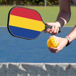 Raquette De Pickleball Drapeau de Roumanie