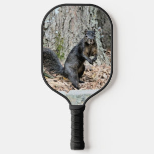 Raquette De Pickleball Écureuil