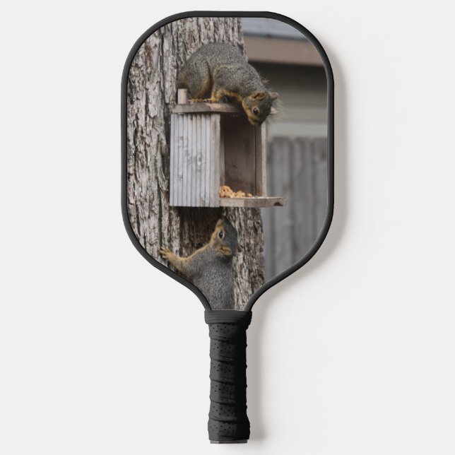 Raquette De Pickleball Écureuil (Recto)