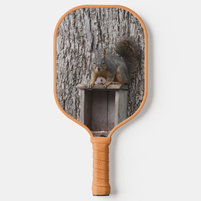 Raquette De Pickleball Écureuil (Recto)
